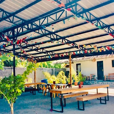 The Hangover Hostel